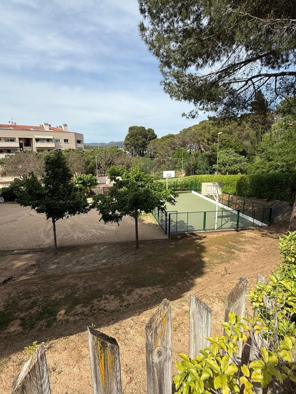 With Garden And Terrace Apartment